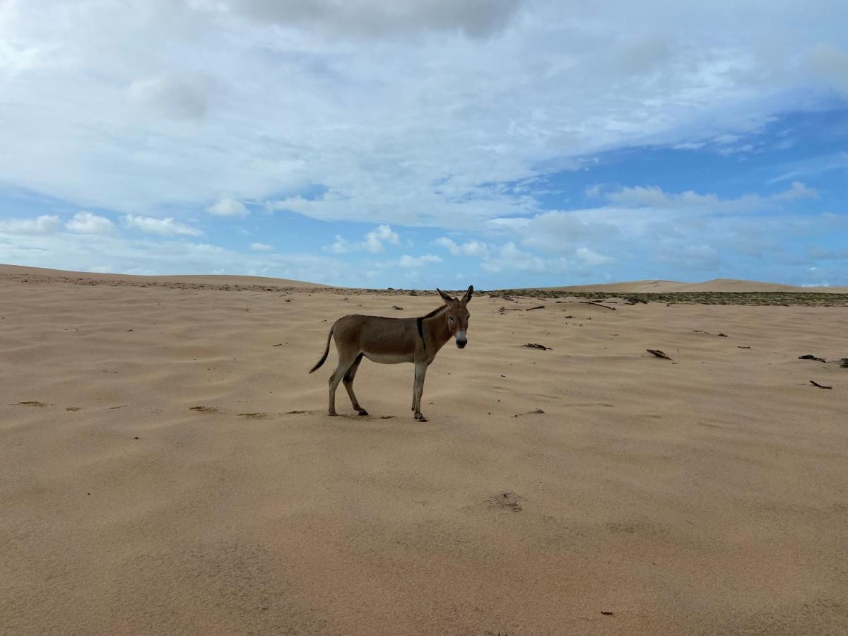 Willa Casa Jasmin Jijoca de Jericoacoara Zewnętrze zdjęcie